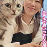 猫カフェデートの後はホテルで思いっきり交尾